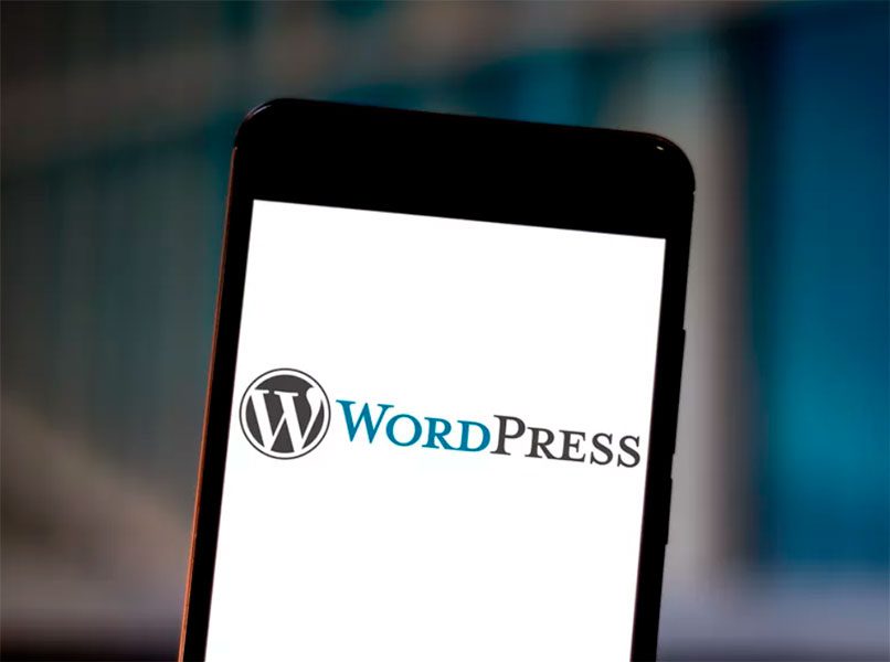 ИБ-эксперты зафиксировали рост критических уязвимостей в WordPress весной 2025