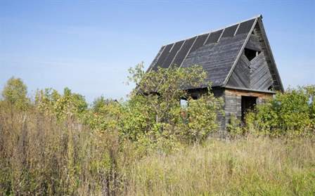 Росреестр сообщил об открытии «горячих линий» для консультаций на предмет неиспользуемых участков